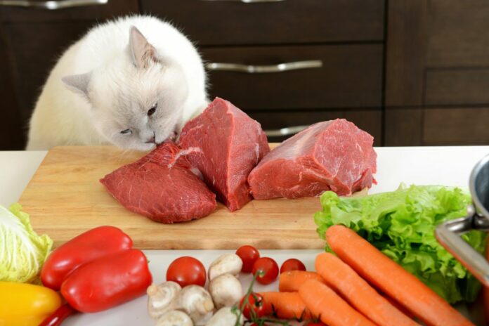 Chat blanc mangeant un morceau de viande sur une planche à découper