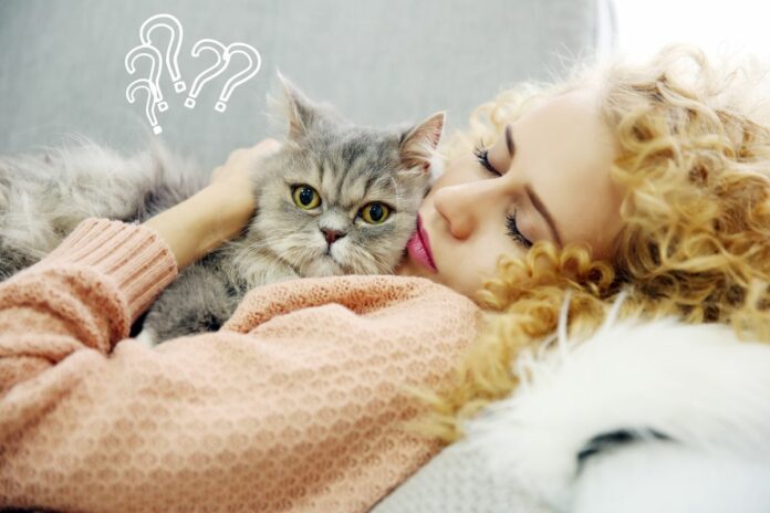 Une femme dormant avec un chat dans ses bras sur un canapé.