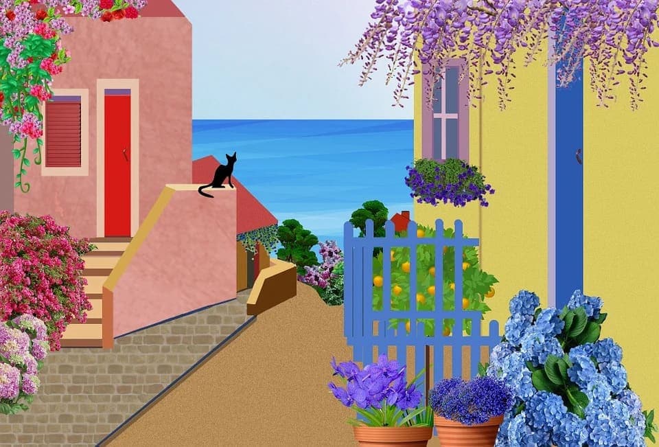 Comment rafraichir un chat ?