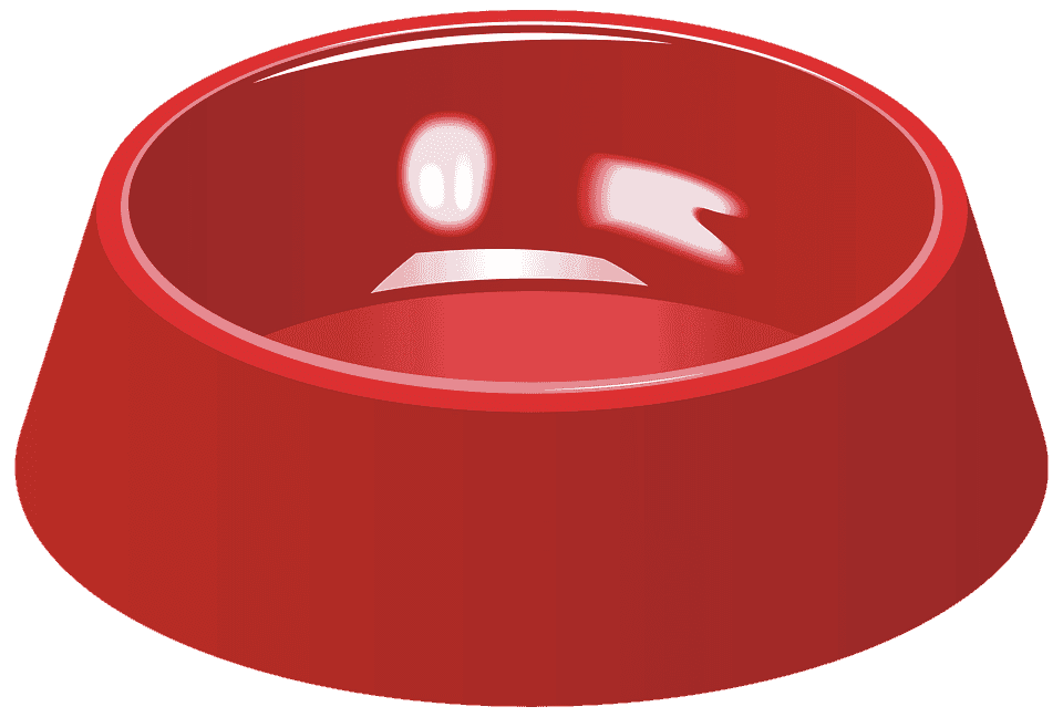 Mon chat gratte autour de la gamelle : Pourquoi et que faire ?