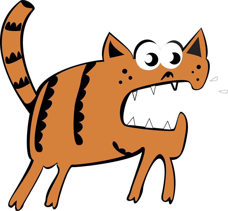 Chat qui a mal au ventre : Pourquoi et que faire ?