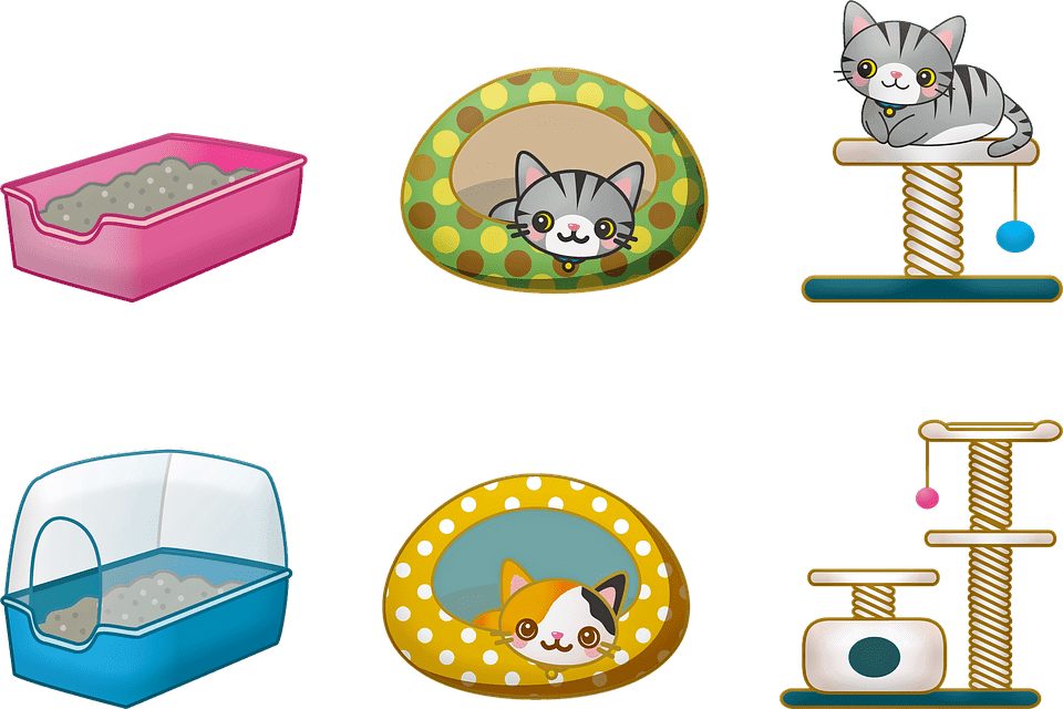 Chat qui mange sa litière : Pourquoi et que faire ?