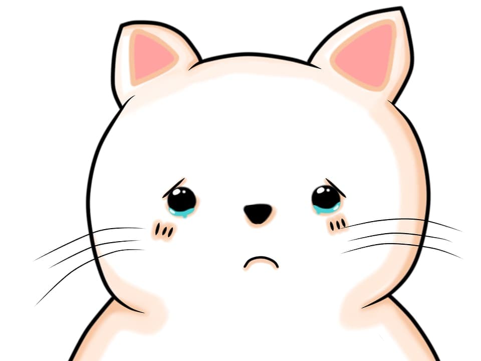 Mon chat pleure quand je pars : Pourquoi et que faire ?