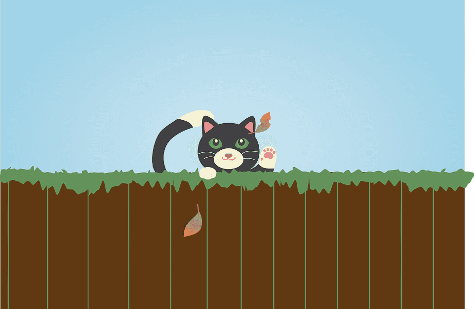 Chat polydactyle : Tout ce qu’il faut savoir