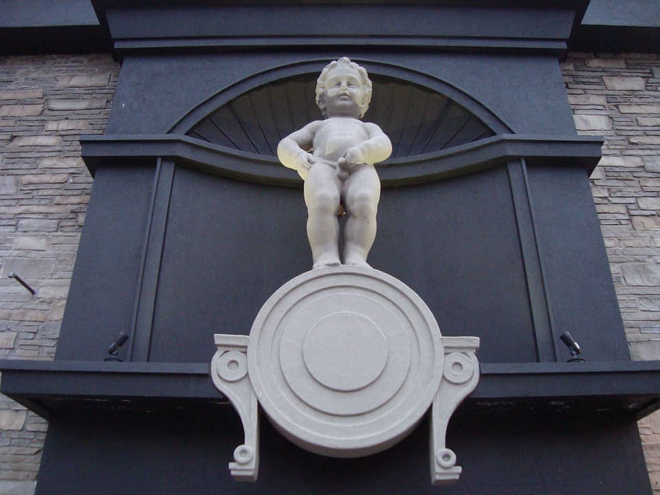 Chat qui urine dans la maison: Comprendre et agir