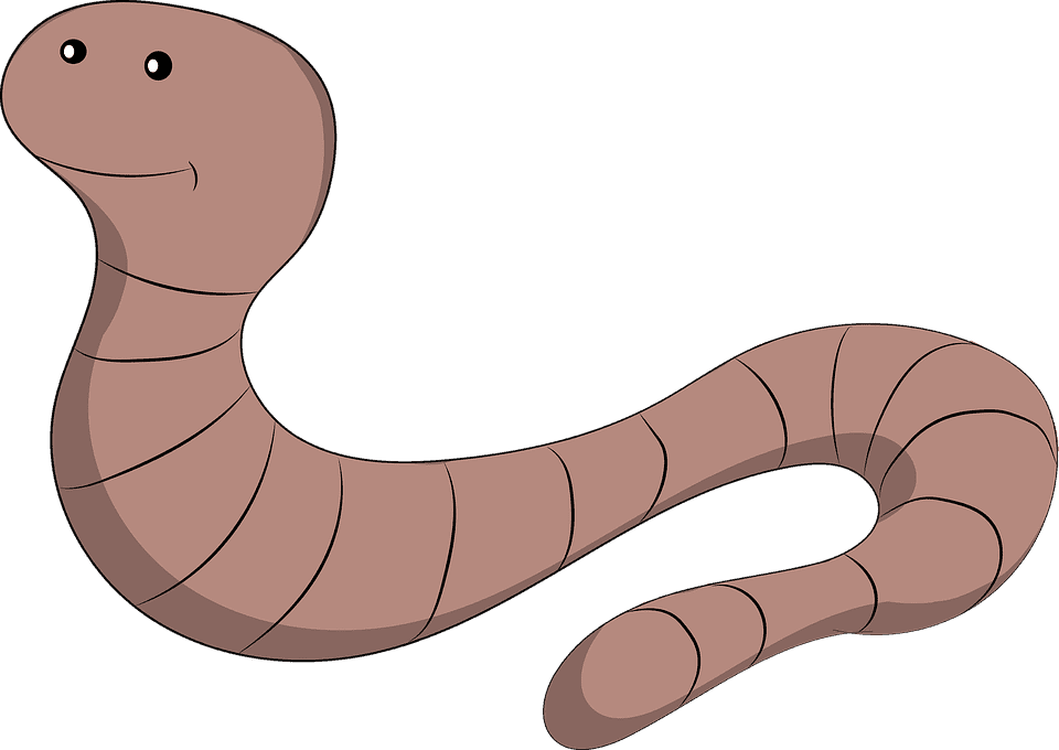 Mon chat a des vers blancs qui sortent de l’anus : Pourquoi et que faire ?