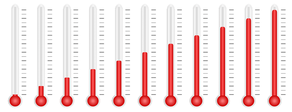 Comment prendre la température d’un chat ?