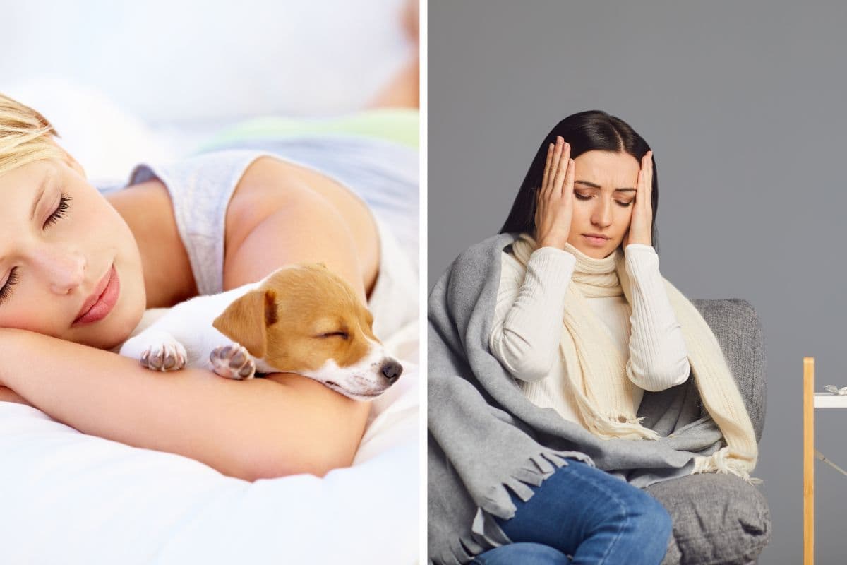Découvrez les maladies que votre chien ou votre chat peut transmettre s’il dort dans votre lit