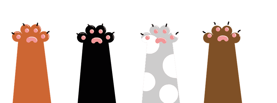 Chat qui tremble et ne tient plus sur ses pattes : Pourquoi et que faire ?