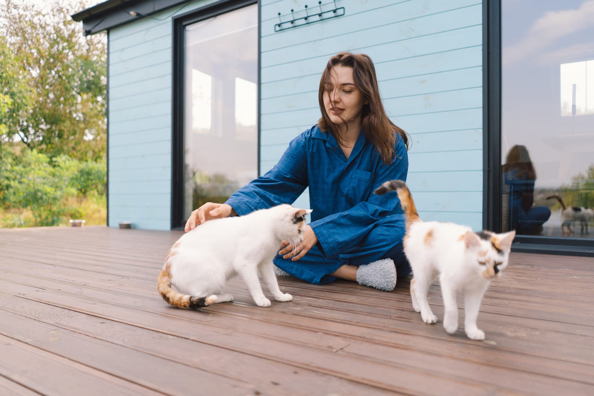 5 secrets bien gardés pour un chat heureux et équilibré