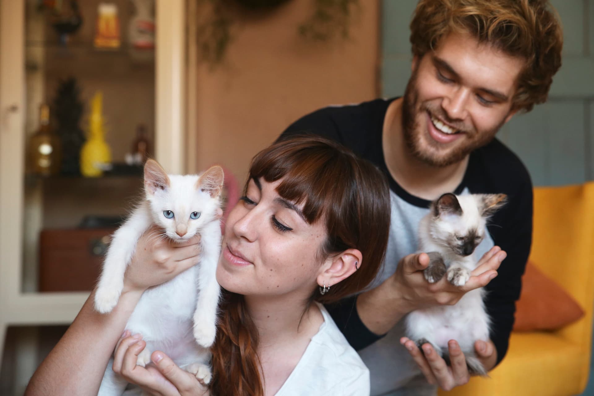 6 étapes magiques pour réussir l’intégration d’un nouveau chat à la maison