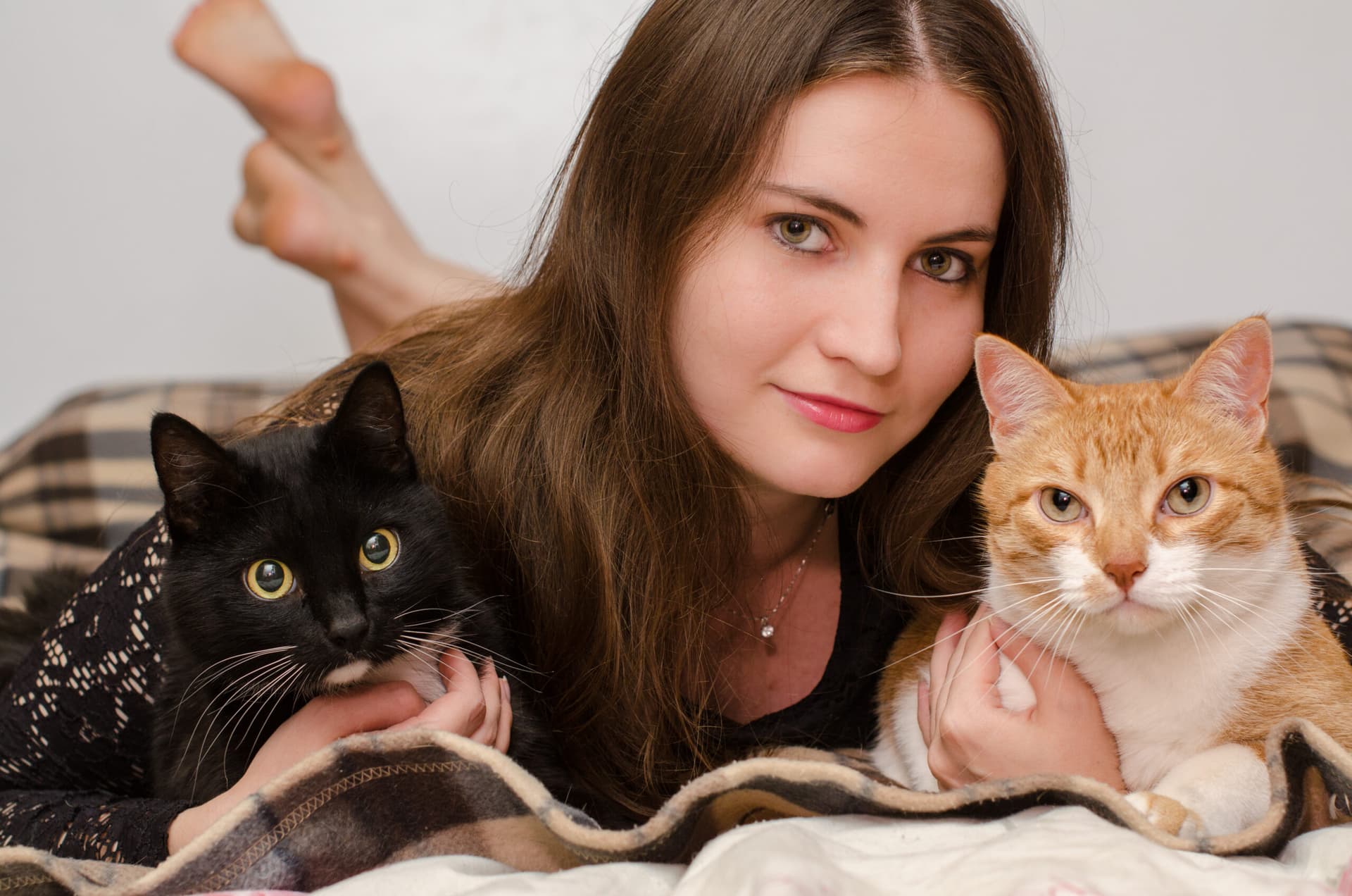 10 comportements mystérieux enfin expliqués par les experts félins