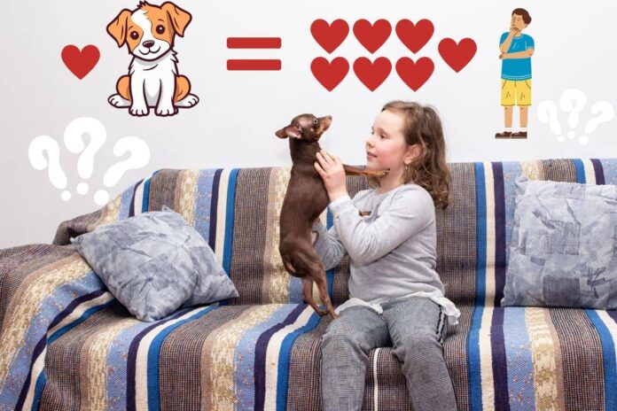 Une fille joue avec un chien sur un canapé avec une illustration d'équivalence des âges chien-humain.