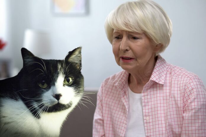Femme âgée inquiète avec un chat noir