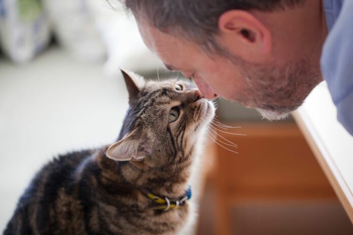 Un homme touche le nez d'un chat avec le sien.