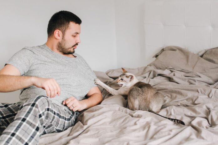 Un chat agressif griffant la chemise d'un homme sur un lit.