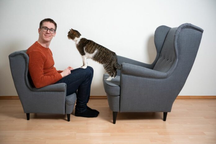 Un homme assis dans un petit fauteuil face à un chat debout sur un grand fauteuil.