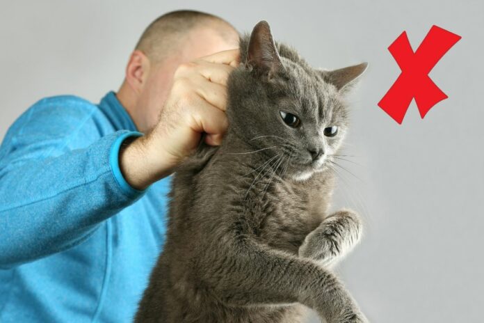 Un homme tenant un chat par la peau du cou avec un grand X rouge à côté.